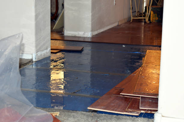 Professional Water Damage Restoration technician working in Great Meadows, NJ